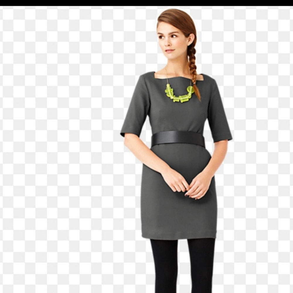 Kate Spade Saturday Shift Dress Size 8